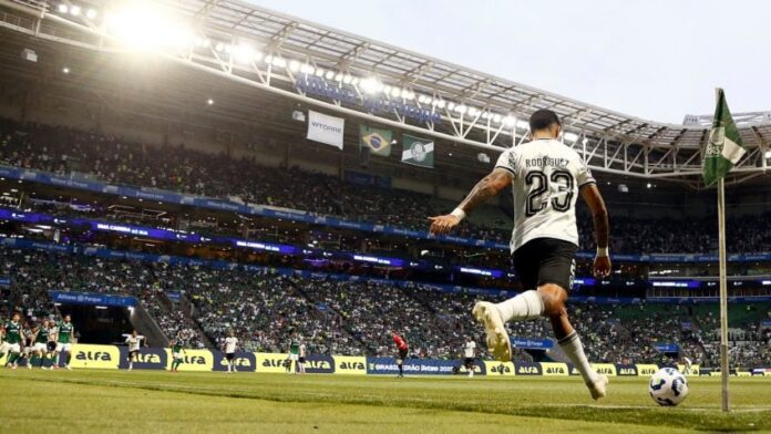 Botafogo Palmeiras Brasileirao Banner